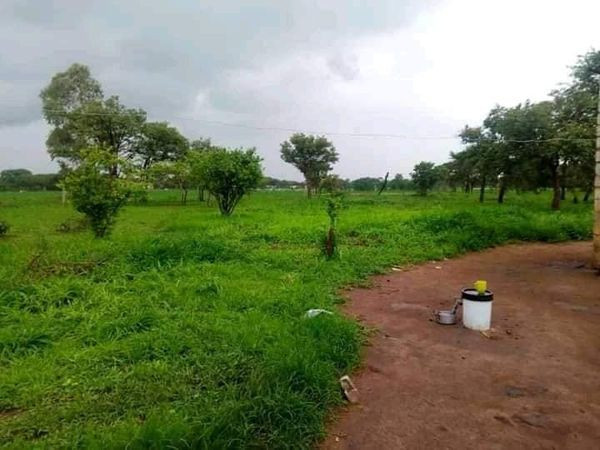 21-hectares-farm-for-sale-in-lusaka-west-big-2