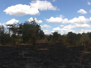 two-commercial-plots-for-sale