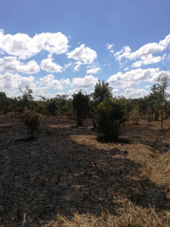 two-commercial-plots-for-sale-big-1