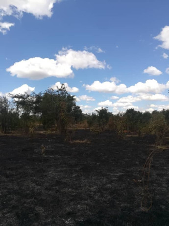 two-commercial-plots-for-sale-big-0