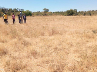 plots-on-title-for-sale