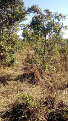 traditional-land-for-sale-big-1