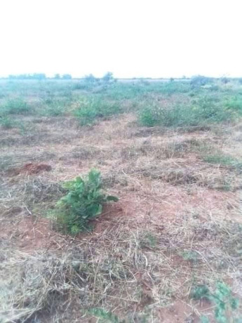 50-acres-land-for-sale-in-makeni-big-0
