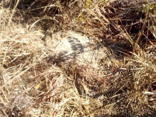 prime-land-for-sale-near-katende-turn-off-chongwe