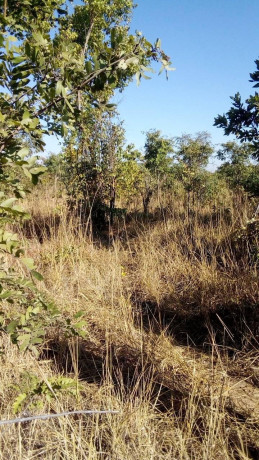 prime-land-for-sale-near-katende-turn-off-chongwe-big-1