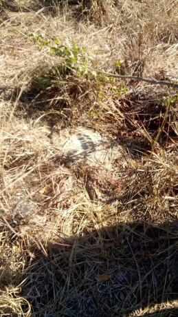 prime-land-for-sale-near-katende-turn-off-chongwe-big-0