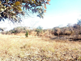 residential-plot-for-sale-in-chilanga