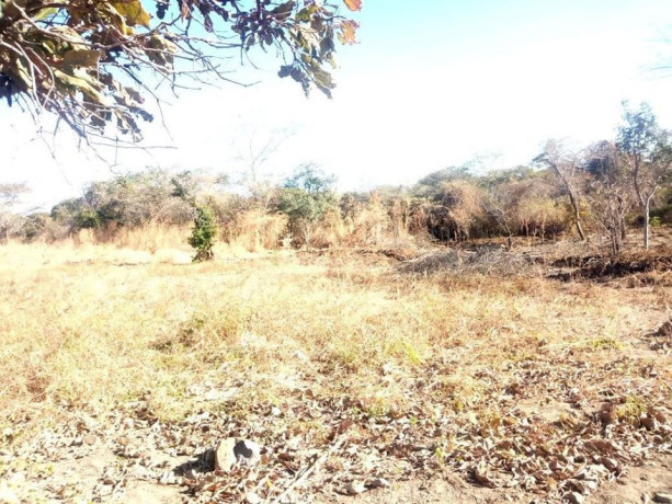 residential-plot-for-sale-in-chilanga-big-1