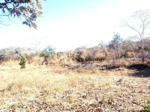 residential-plot-for-sale-in-chilanga-big-2