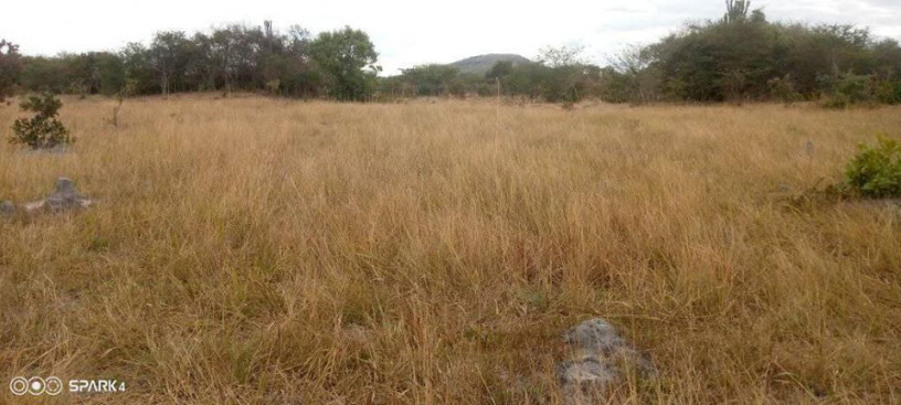 residential-plots-for-sale-big-3