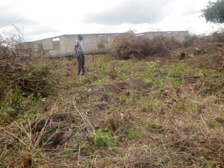 spacious-property-with-negotiable-price