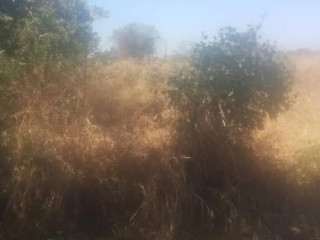 smallholding-farm-for-sale