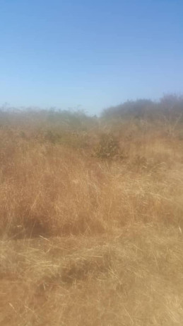 smallholding-farm-for-sale-big-2