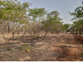 peaceful-estate-land-for-sale-near-lusaka-national-park-small-0