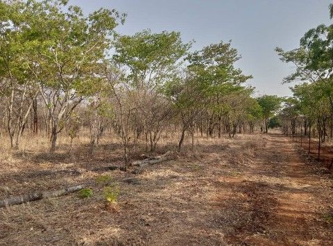 peaceful-estate-land-for-sale-near-lusaka-national-park-big-0