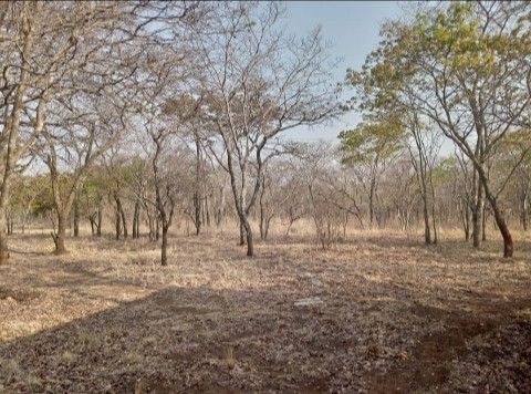 peaceful-estate-land-for-sale-near-lusaka-national-park-big-1