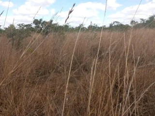 chibombo-land-for-sale