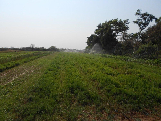 farm-for-sale-in-chongwe-lusaka-big-5