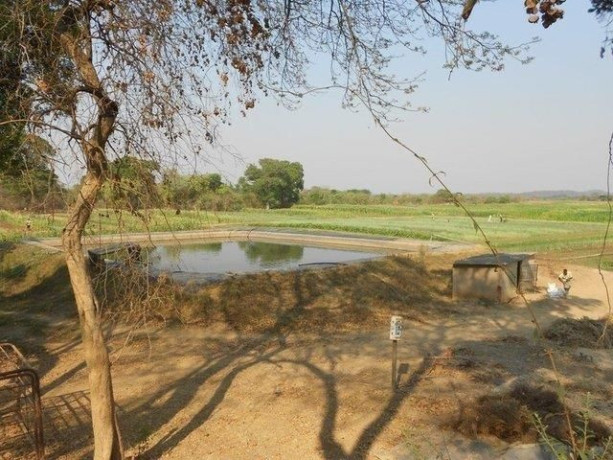 farm-for-sale-in-chongwe-lusaka-big-3