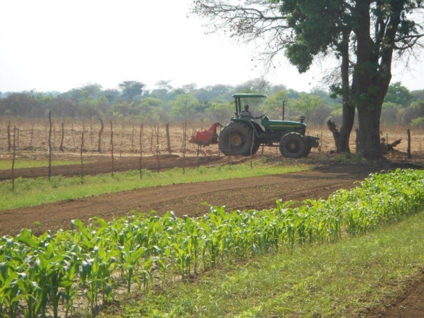 farm-for-sale-in-chongwe-lusaka-big-6