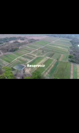 farm-for-sale-in-chongwe-lusaka-big-2