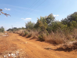 prime-land-for-sale-next-to-mazokas-farm
