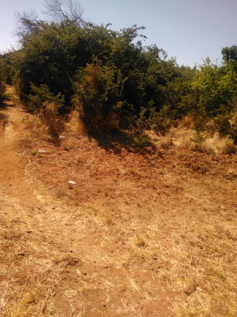 prime-land-for-sale-next-to-mazokas-farm-big-2