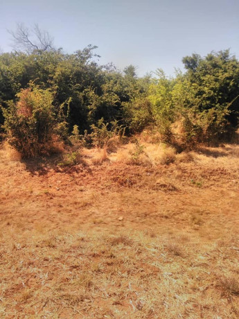 prime-land-for-sale-next-to-mazokas-farm-big-1