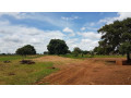 10-acres-of-land-on-title-for-sale-small-3