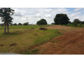 10-acres-of-land-on-title-for-sale-small-0