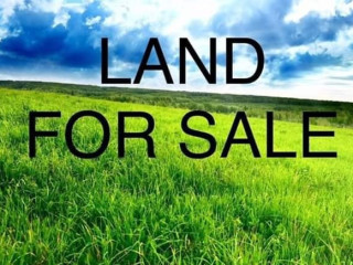 23-hectares-land-near-chisamba-boma