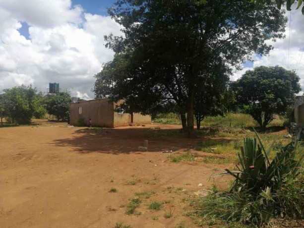 farm-for-sale-in-libala-south-big-1