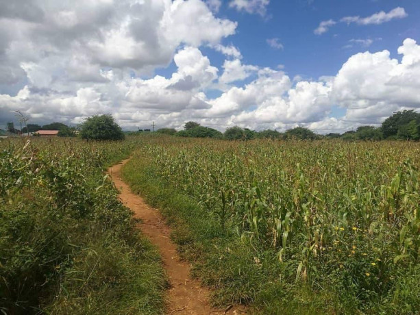 farm-for-sale-in-libala-south-big-3