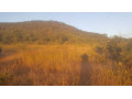 land-for-sale-in-kafue-ten-park-small-1
