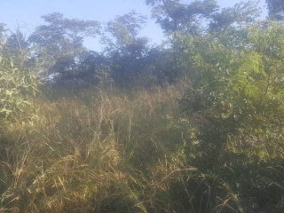 land-for-sale-in-kafue-ten-park