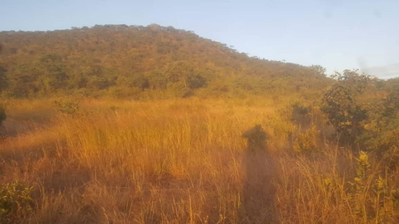 land-for-sale-in-kafue-ten-park-big-1