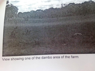 548-hectares-of-land-along-tazara-d-block