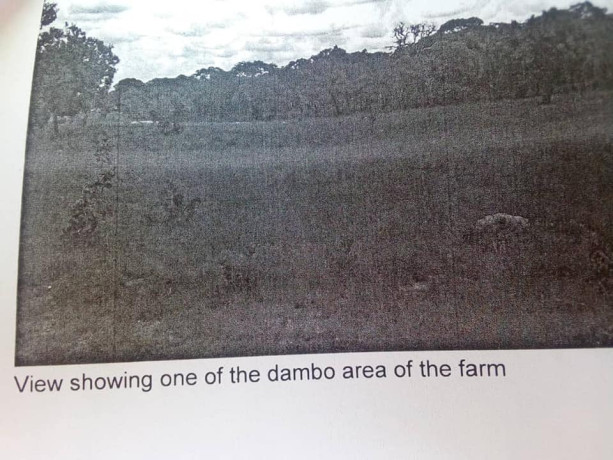 548-hectares-of-land-along-tazara-d-block-big-0