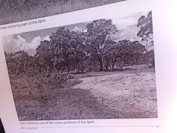 548-hectares-of-land-along-tazara-d-block-big-1