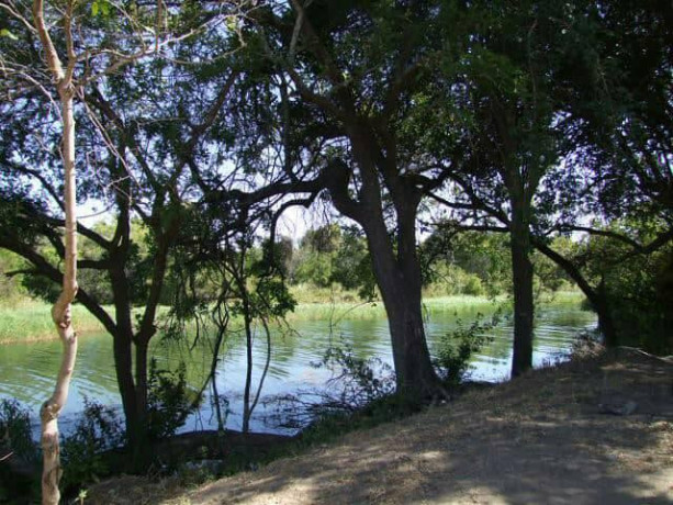 river-frontage-land-with-chalets-for-sale-big-3