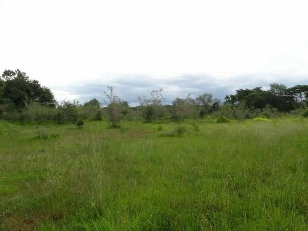 river-frontage-land-with-chalets-for-sale-big-6