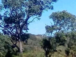 plot-available-for-sale