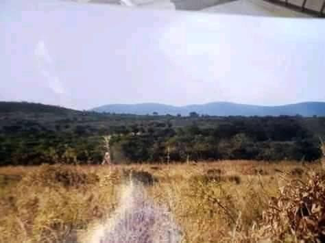 plot-available-for-sale-big-3