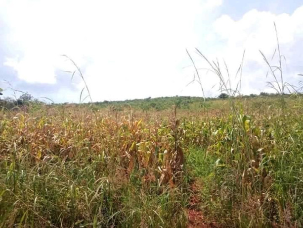 plot-available-for-sale-big-1