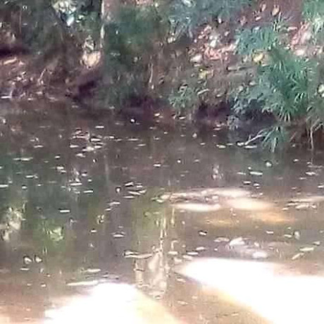 plot-available-for-sale-big-2