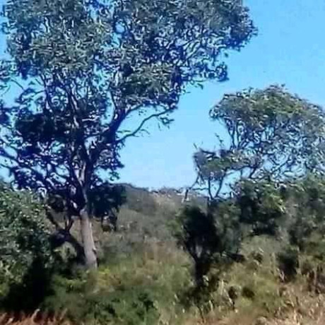 plot-available-for-sale-big-0