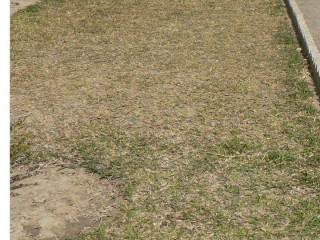 beautiful-property-on-kafue-lusaka-road