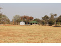 large-cattle-ranch-in-mazabuka-farming-area-small-7