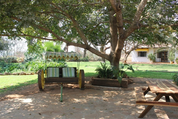 large-cattle-ranch-in-mazabuka-farming-area-big-5