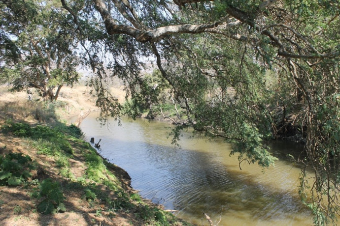 large-cattle-ranch-in-mazabuka-farming-area-big-1